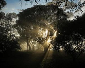 Image of Pecan Hill BNB