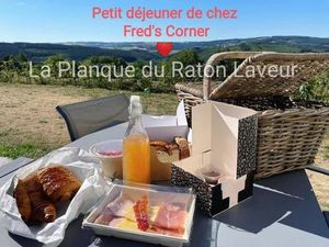 Image of La planque du raton laveur