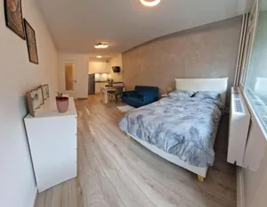 Image of Charming new appartment near Geneva
