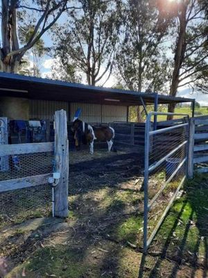 Image of Bairnsdale - Granite Creek Stays