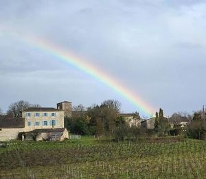 Image of Le Clos Saint Georges