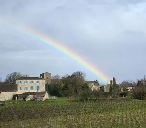 Image of Le Clos Saint Georges