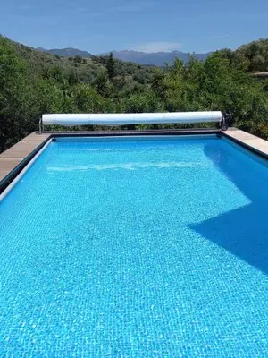 Image of L'AMANDIER -LE FIGUIER-LES LAURIERS ROSES