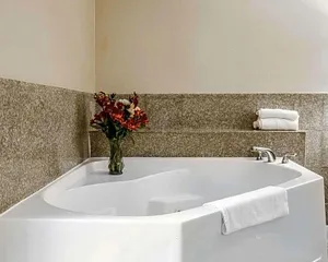 Image of Quality Inn & Suites Hotel Seattle Center