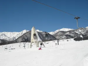 Image of Washinoya