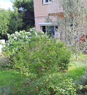 Image of Ecolieu La pépinière
