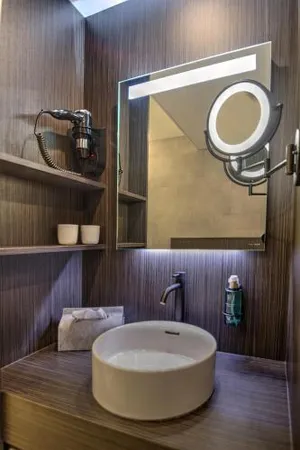 Image of Hotel Hallensis