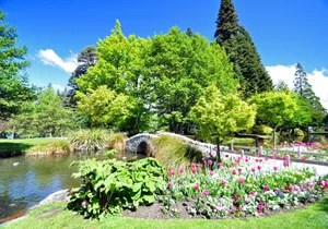 Image of Lakefront Cottage