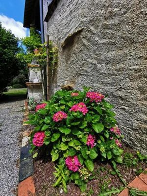Image of Les vergers de St Nicolas