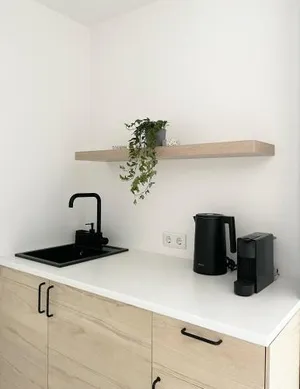 Image of Anflor studio