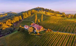 Image of Weingut Winzerzimmer Rothschädl