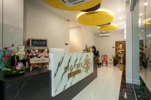 Image of Big Tree Boutique