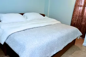 Image of Handsome Home Renovated - close to Metro