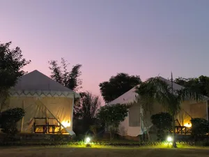 Image of Jungle Enclave