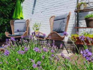 Image of Bed and Breakfast en Studio Het Atelier