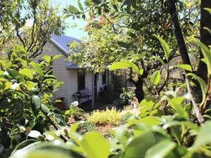 Image of Quince Cottage