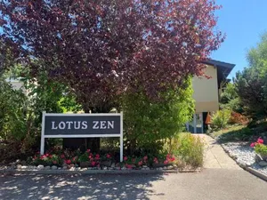 Image of Le lotus zen