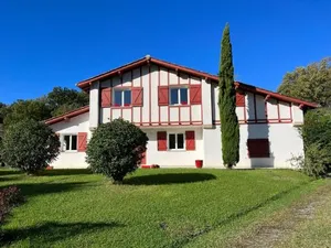 Image of XOKO GORRI