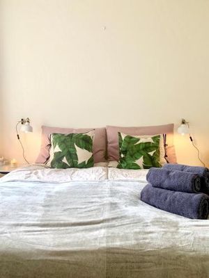 Image of Cute Pug Guest Room