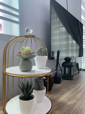 Image of J.J HomeStay (Jln Salleh Muar  Near TF Value Mart)