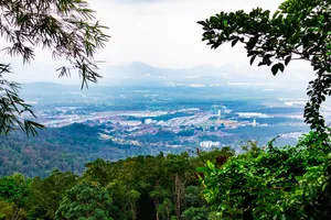 Image of Nature living