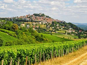 Image of Burgundian Farmhouse in Talon with Fireplace