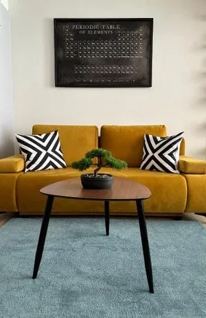 Image of Appartement vue lac Montreux