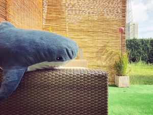 Image of Apartment Berlin | Garden, Terrace, Nature