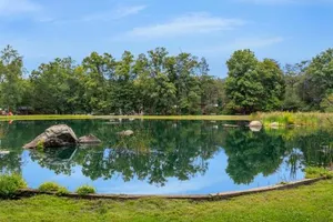 Image of Drummer Boy Camping Resort