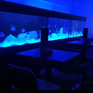 Image of The NEW Blue Horse Suite at The Grumpy Schnauzer B&B Luxury Private Indoor Hot Tub Breakfast in Bed