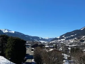 Image of CHALET " JEANE " proche centre