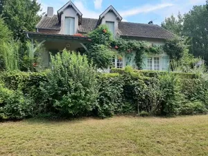 Image of L'orée du bois