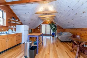 Image of Bright and Cozy Treehouse Apartment