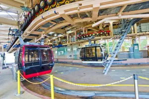 Image of P's Wood 箱根仙石原