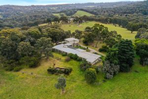 Image of Enjoy Nature at Modern Diamond Creek Farmhouse