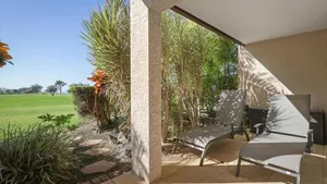 Image of Koa Dream