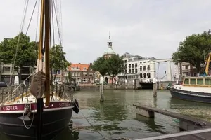 Image of Divino