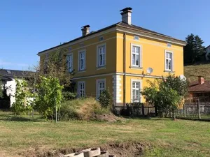 Image of Löwenzahn