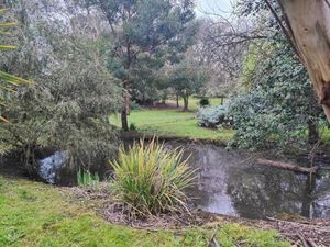 Image of Dunkeld Secret Garden