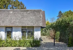 Image of Cosy forest hideout @ Veluwe