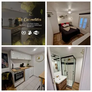 Image of LE PETIT TRIPLEX DES CARMELITES -COEUR HISTORIQUE