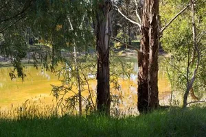 Image of Bodhi Daylesford