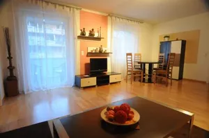 Image of Freiburg Apartment