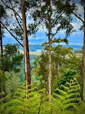 Image of Melbourne Topview Villa in Dandenong ranges near Skyhigh