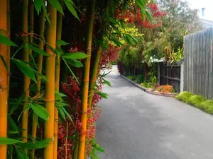 Image of Azen Haven