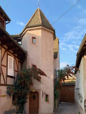 Image of LA TOUR des fées-spa
