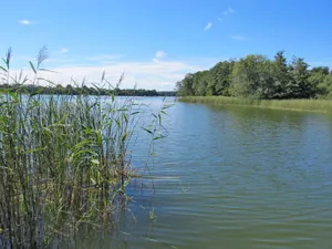 Image of Am Pälitzsee