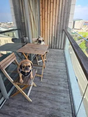 Image of Benji & Milos Apartments
