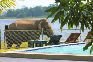 Image of Hotel Lake Park