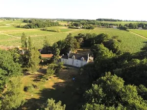 Image of Du Vignoble à l'Atlantique - Château Cassemichère gîte